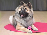 /album/gaia-billeder/gaia-062fv-jpg/