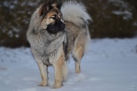 /album/gaia-billeder/gaia-103-jpg/