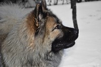 /album/gaia-billeder/gaia-133-jpg/