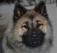 /album/gaia-billeder/gaia-134b-jpg/