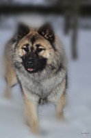 /album/gaia-billeder/gaia-136fv-jpg/