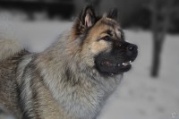 /album/gaia-billeder/gaia-137-jpg/