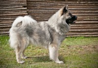 /album/gaia-billeder/img-4803-jpg/