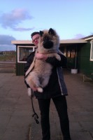 /album/gaia-som-hvalp/imag0380-jpg/