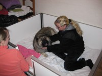 /album/photo-gallery%3a-f%c3%b8dsel/img-0795-jpg/