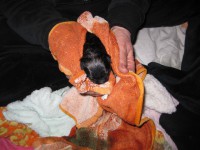 /album/photo-gallery%3a-f%c3%b8dsel/img-0827-jpg/