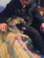 /album/photo-gallery%3a-f%c3%b8dsel/img-1198b-jpg/