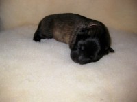 /album/lyser%c3%b8d-t%c3%a6ve/img-0869-jpg/