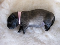 /album/lyser%c3%b8d-t%c3%a6ve/img-0879-jpg/