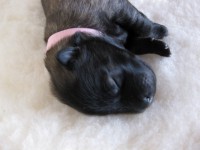 /album/lyser%c3%b8d-t%c3%a6ve/img-0880-jpg/