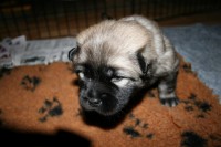 /album/ghul-taeve/img-6045-jpg/