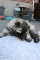 /album/lyser%c3%b8d-t%c3%a6ve/img-6230-jpg/