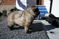 /album/lyser%c3%b8d-t%c3%a6ve/img-6279-jpg/