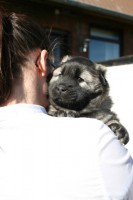 /album/lyser%c3%b8d-t%c3%a6ve/img-6327-jpg/