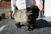 /album/lyser%c3%b8d-t%c3%a6ve/img-6331-jpg/