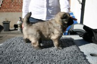 /album/ghul-taeve/img-6302-jpg/