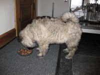 /album/lyser%c3%b8d-t%c3%a6ve/img-1406-jpg/