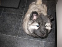 /album/lyser%c3%b8d-t%c3%a6ve/img-1407-jpg/