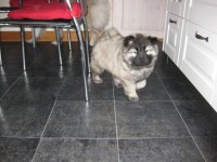 /album/lyser%c3%b8d-t%c3%a6ve/img-1409-jpg/