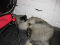 /album/lyser%c3%b8d-t%c3%a6ve/img-1411-jpg/