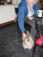 /album/lyser%c3%b8d-t%c3%a6ve/img-1415-jpg/