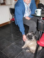 /album/lyser%c3%b8d-t%c3%a6ve/img-1416-jpg/