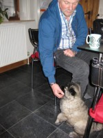 /album/lyser%c3%b8d-t%c3%a6ve/img-1417-jpg/