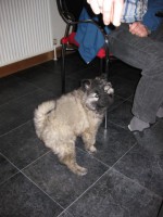 /album/lyser%c3%b8d-t%c3%a6ve/img-1418-jpg/