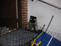 /album/lyser%c3%b8d-t%c3%a6ve/img-1421-jpg/