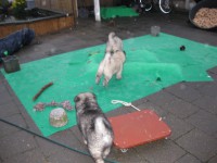 /album/lyser%c3%b8d-t%c3%a6ve/img-1424-jpg/