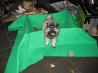 /album/lyser%c3%b8d-t%c3%a6ve/img-1426-jpg/