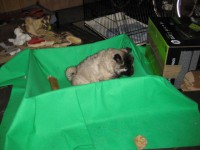 /album/lyser%c3%b8d-t%c3%a6ve/img-1427-jpg/