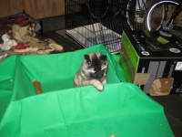 /album/lyser%c3%b8d-t%c3%a6ve/img-1428-jpg/