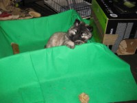 /album/lyser%c3%b8d-t%c3%a6ve/img-1429-jpg/