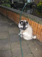 /album/lyser%c3%b8d-t%c3%a6ve/img-1430-jpg/