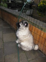 /album/lyser%c3%b8d-t%c3%a6ve/img-1431-jpg/