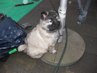 /album/lyser%c3%b8d-t%c3%a6ve/img-1436-jpg/